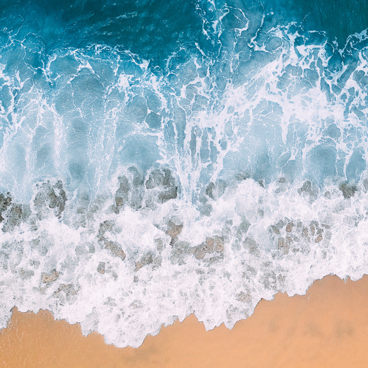 Royal Reef Media